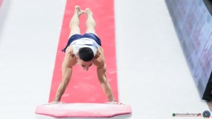 gam sfe00219 copia simone ferraro ph